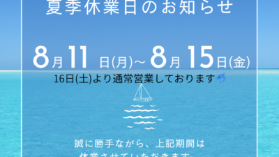 夏季休暇のお知らせ🐬